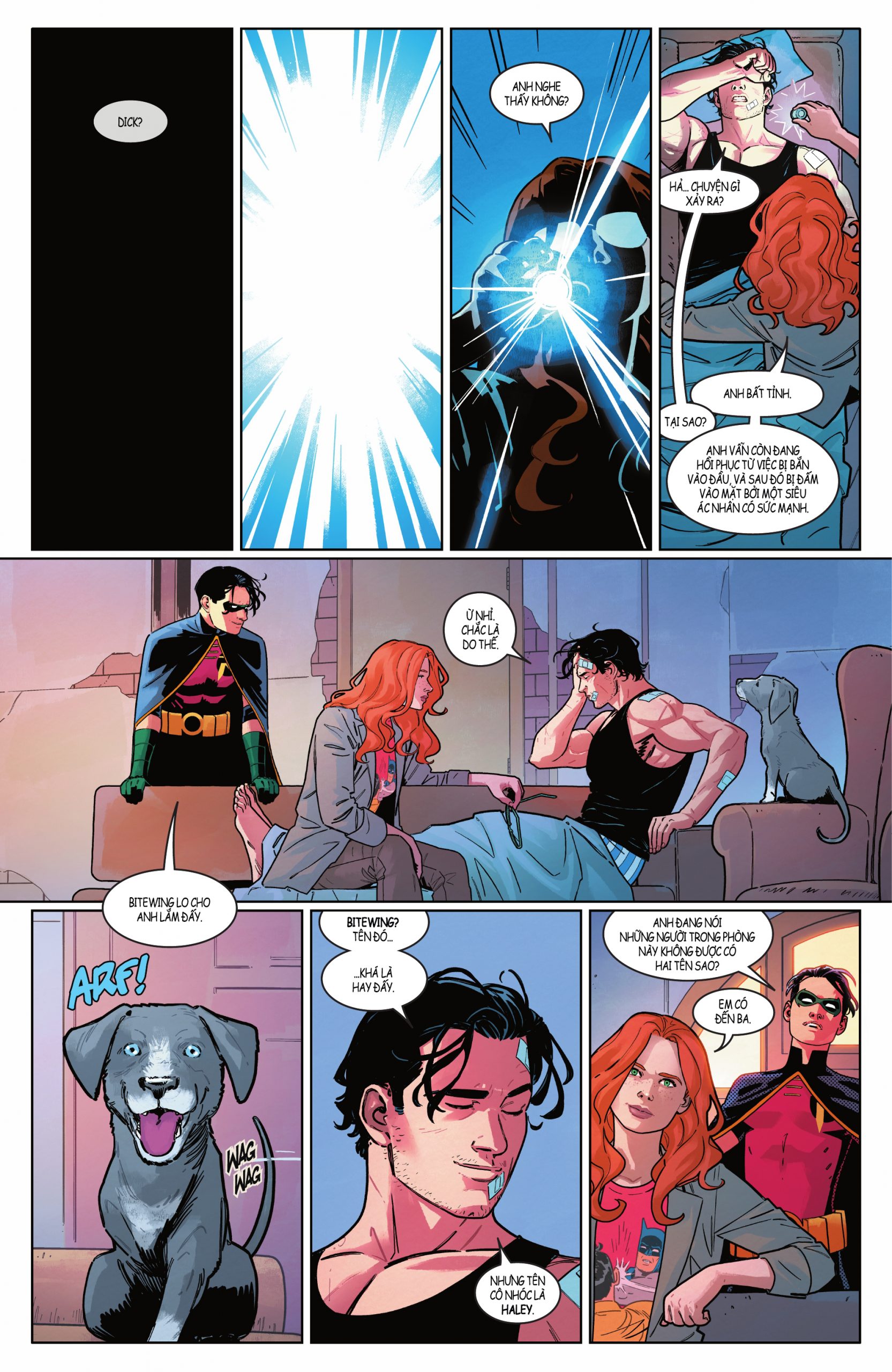 https://langgeek.net/wp-content/uploads/2022/01/Nightwing-081-013-scaled.jpg